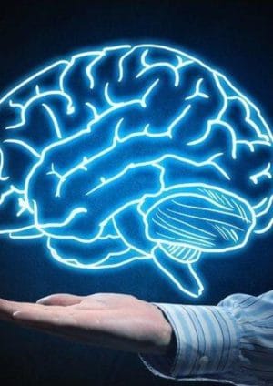 صحة الدماغ