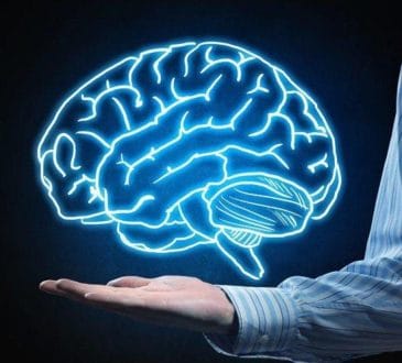 صحة الدماغ