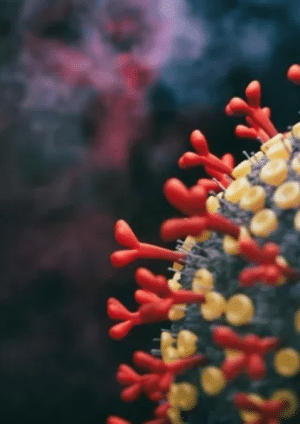 أوميكرون الخفي