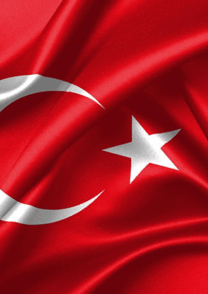 وفد تركي