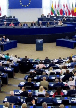 _اللجنة البرلمانية التركية الأوربية