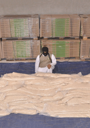 السلطات السعودية