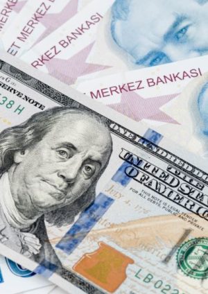 أسعار صرف العملات الأجنبية مقابل الليرة التركية.. 1 أبريل